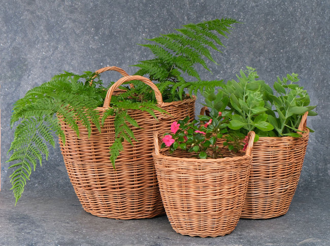 Elegant Indoor Willow Planters: Where Style Meets Sustainability - Hamiast